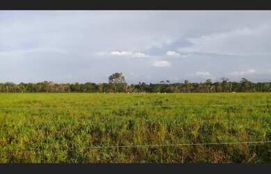 Imagem 6: R$780 MIL fazenda pronta com 175 hectares