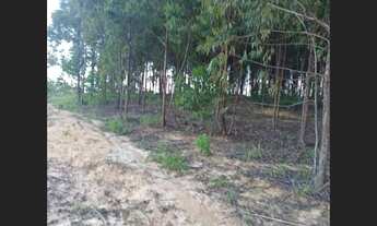 Imagem 1: Fazenda de 165 ha 3m Caetanopolis