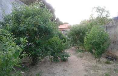 Imagem 4: TERRENO NO CENTRO EM RU BARBOSA BAHIA