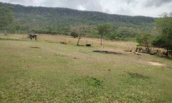 Imagem 3: SITIO 82 HECTARES TERRA BOA COM RIO EM CACERES MT