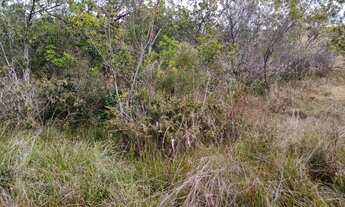 Imagem 7: Terreno 10 ha em Claudio