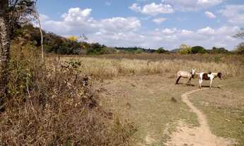 Imagem 2: Fazenda de 14 ha em Itaguara no Rio Para