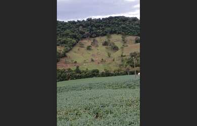 Imagem 2: Chácara 2 alqueires a 5 Kilometros da cidade jardim alegre a 2 km do asfalto