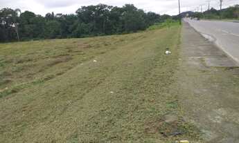 Imagem 2: Terreno industrial