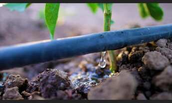 Imagem: Procura-se sítio para arrendar (ver descrição