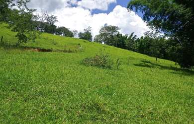 Imagem 2: Fazendinha de 12 há em Itaguara MG