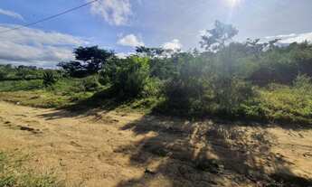 Imagem 2: Terreno no Comveima II