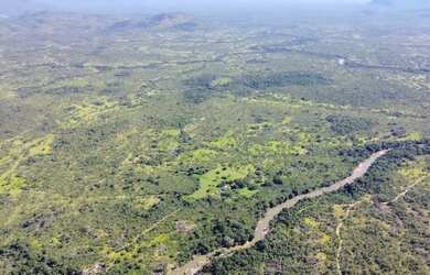 Imagem 2: 500 Alqs Pra Pecuária Ótima Logística Alto Paraiso GO