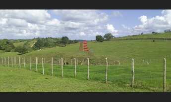 Imagem 4: Fazenda p/gado c/ 540 tarefas no Santa Luzia Itanhy no Povoado Bom Viver