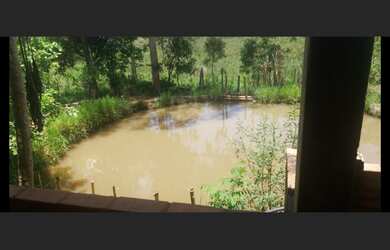 Imagem 4: Sítio de 3 há em Carmopolis de Minas MG