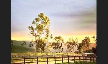 Imagem 4: Fazenda em Brejoes