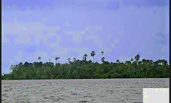 Imagem 4: Fazenda 12 mil hectares em Marajó pra lavoura de arroz por R$ 8 milhões
