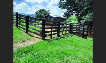 Imagem: Sítio à venda em Caconde - SP. 4 Alqueires