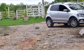 Imagem 4: Vendo essa chácara 2mil metros