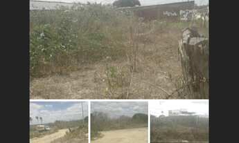 Imagem: Vende-se Terreno em Puxinanã, próximo