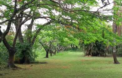 Imagem 2: Chácara 5000m2 próximo Rio Piracicaba