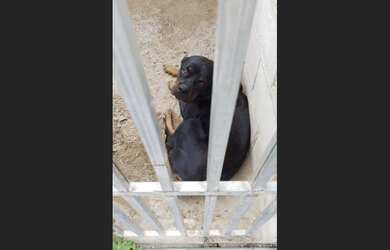 Imagem 6: Chácara Chácara com 1 dormitório