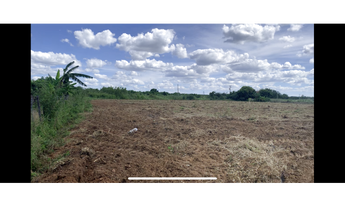 Imagem 2: Lote agrícola de 3,31 escriturado Bebedouro Petrolina