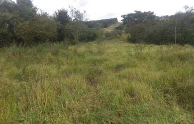 Imagem 5: Sítio de 10 mil mt em Passa Tempo MG