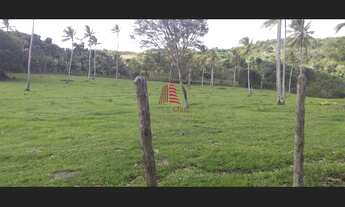 Imagem 6: Fazenda p/gado c/ 540 tarefas no Santa Luzia Itanhy no Povoado Bom Viver