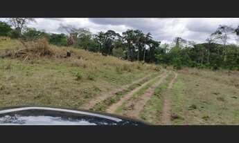 Imagem 3: Fazenda com 1.162 Hectares, com 500 Hectares aberta e formada, Chapada dos Guimaraes