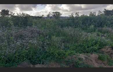 Imagem 5: Terreno à venda - Garanhuns - PE