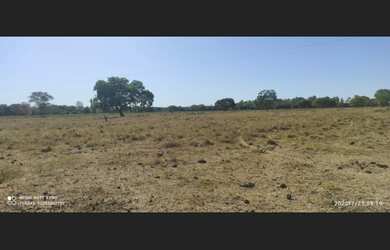 Imagem 3: 309 Alqs Arrendamento Disponivel Pra Soja Vale do Araguaia TO