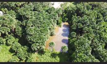 Imagem 5: Área para investimento, em Santarém-pará