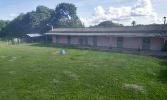 Imagem 3: Fazenda em Mata de São joao