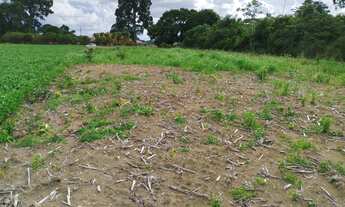 Imagem 7: VENDO TERRENO COM 2.500M² E ÓTIMA LOCALIZAÇÃO