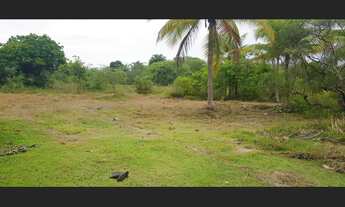 Imagem: Fazenda a venda em Salinas da Margarida