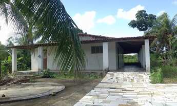 Imagem 2: EXCELENTE OPORTUNIDADE! VENDO SÍTIO, Povoado Comum ( EXTREMOZ). 20X100. VALOR: 78 MIL