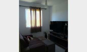 Imagem 5: Alpha class aruana