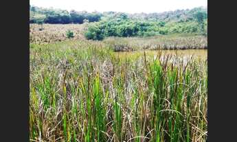 Imagem 4: Fazenda de 130 ha em Oliveira