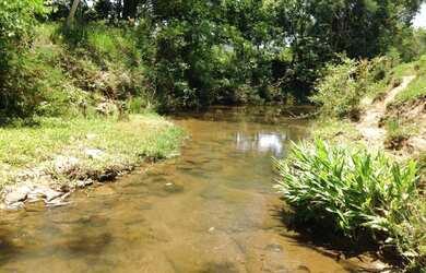 Imagem 7: Chácara de 1,5 alqueires com 160m de frente na beira da pista em ótima localização