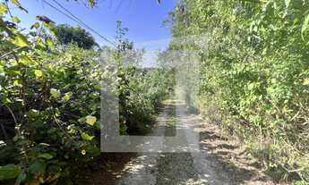 Imagem 4: Sítio à Venda em Juquitiba SP com 49.996 m2, casa, área aberta e pômar!