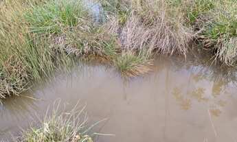 Imagem 3: Terreno 10 ha em Claudio