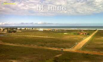 Imagem 2: Lindos Terrenos a BEIRA-MAR em Santa Catarina!