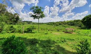 Imagem 3: Fazendinha de 12 há em Carmopolis de Minas MG