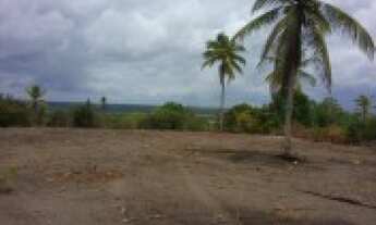 Imagem 6: área 2 hectares a menos de 8 minutos da praia de mangue seco