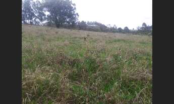 Imagem 7: Fazenda de 25 ha em Itaguara