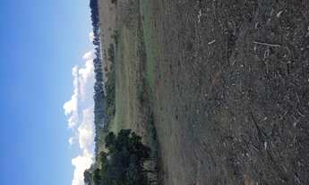 Imagem 2: Terreno de 49 há morro do ferro em Oliveira