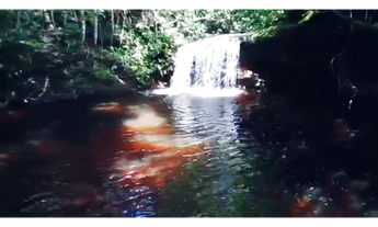 Imagem: 38 Alqs Cultura Muita Água Montada Região