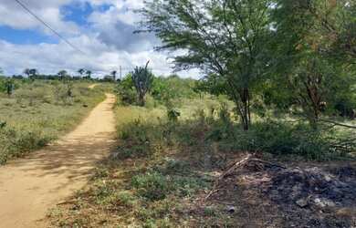 Imagem 5: Terreno 20 Tarefas de Terra