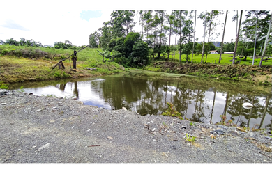 Imagem 6: SÍTIO 4.8 HA EM TAIO PASSO MANSO - SC R$ 150.000,00 entrada saldo para 2024 e 2025