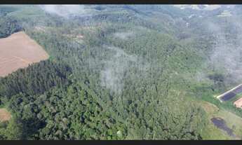 Imagem 6: Terreno para Sítio à Venda 33,2 Hectares Semi Plano em Salete SC