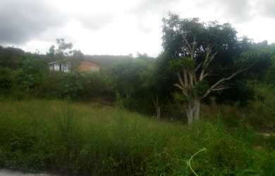 Imagem 6: TERRA COM LINDA VISTA, FRUTAS E NASCENTE DE ÁGUA