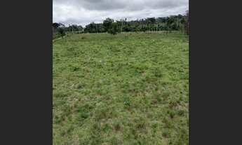 Imagem 5: Venda ou troca sitio em Rondônia