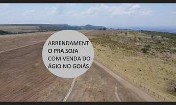 Imagem 3: 82 Alqs Arrendamento Disponível Pra Soja Região Piranhas GO