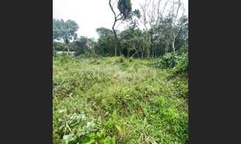 Imagem: Terreno c/ escritura na praia de Itanhaém
